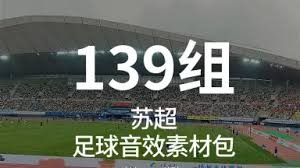 徐亮揭示中超降薪危机对球员生存的影响